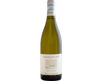 DOMENICO Fraccaroli Pinot Grigio Villa Caratti