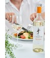 Il MAESTRO Pinot Grigio