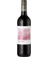 ALOE TREE Shiraz