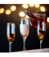 SACCHETTO Rose Spumante Brut IGT Veneto