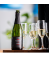 CAVA MANOS Brut Nature