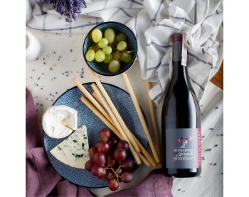 DOMAINE DU GRAND PLANTIER Côtes-du-Rhône Rouge