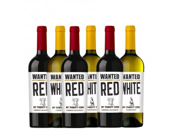 WANTED 1