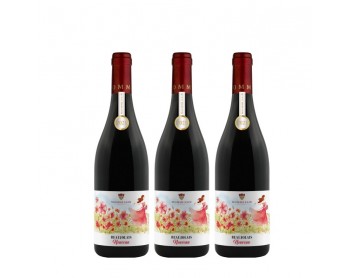 Beaujolais Nouveau est arrivé!
