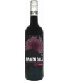 BROKEN BACK Shiraz