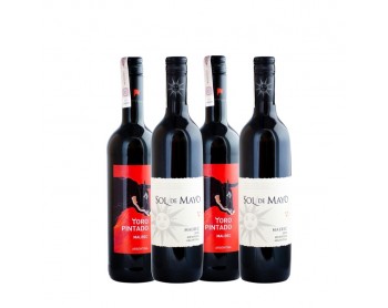 MALBEC Z MENDOZY
