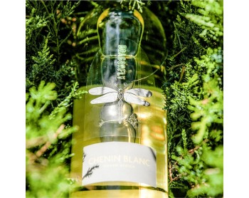 DRAGONFLY Chenin Blanc