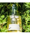 DRAGONFLY Chenin Blanc