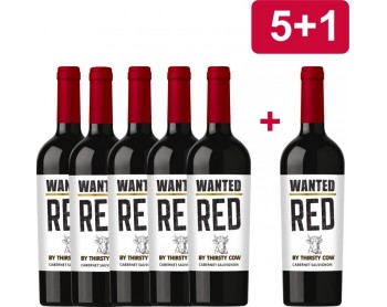 5+1 CABERNET SAUVIGNON