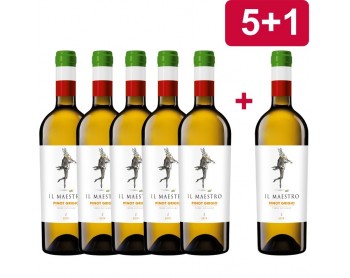 5+1 PINOT GRIGIO