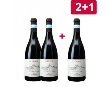 2+1 LA CUPOLA Pinot Nero DOC