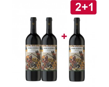 2+1 PIAN DELL'OLMO Nero d'Avola DOC