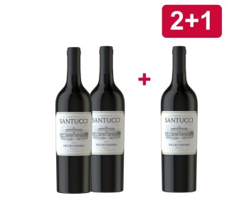 2+1 FAMIGLIA SANTUCCI Negroamaro IGT