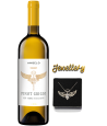 JEWELLERY & ANGELO: Pinot Grigio+ naszyjnik srebny
