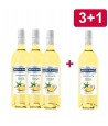 3+1 MONTE SANTI Frizzante Pineapple Coconut