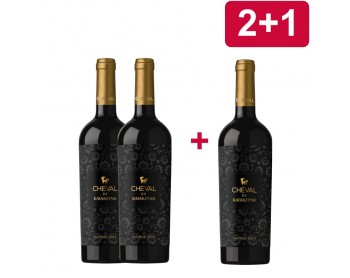 2+1 CHEVAL DE KATARZYNA Mavrud