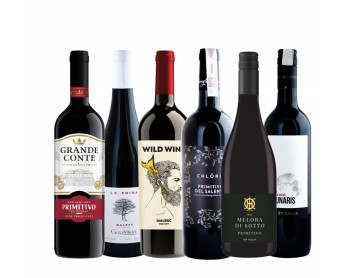 PRIMITIVO VS MALBEC
