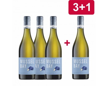 3+1 MUSSEL BAY