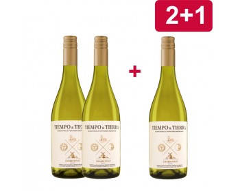 2+1 TIEMPO Y TIERRA CHARDONNAY