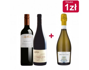 ZA ZŁOTÓWKĘ - PROSECCO