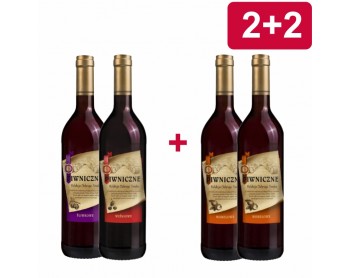 2+2 PIWNICZNE mix