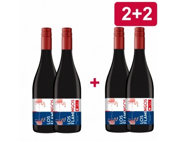 2+2 LOS FLAMINGOS Cabernet Sauvignon