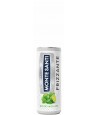 MONTE SANTI Frizzante Mojito Moscato 330ml
