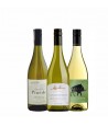 POJEDYNEK CHARDONNAY