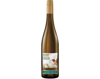 MATYLDA MULLER  Pinot Grigio