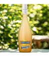 MONTE SANTI Spritz Orange