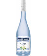 MONTE SANTI Hugo Blue