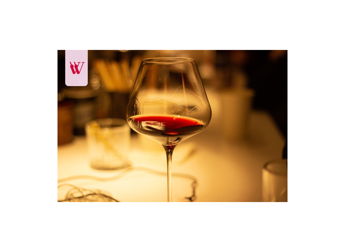 Rustykalne wino – co oznacza i które warto wybrać? Rustykalne wino – co oznacza i które warto wybrać?