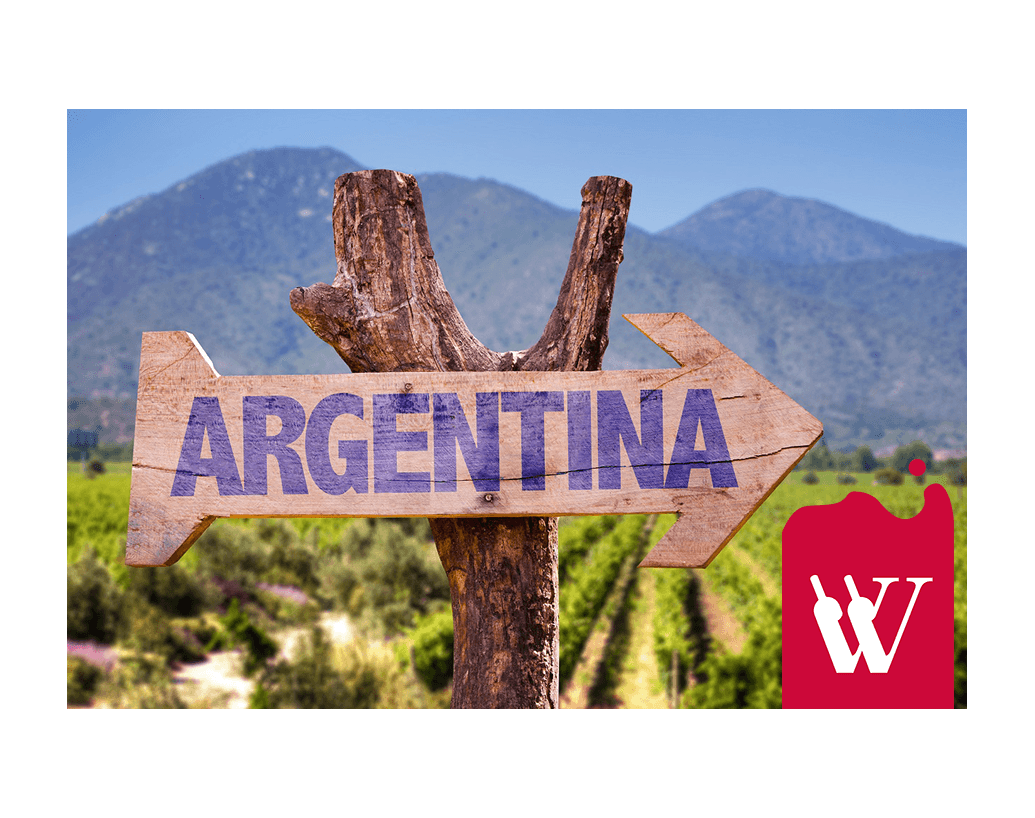 Daj się uwieść winom argentyńskim